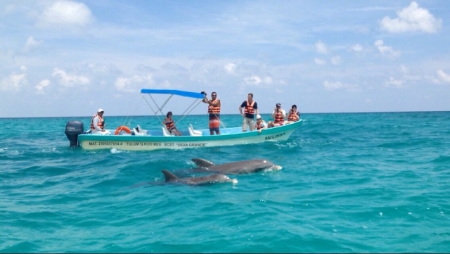 Visitas guiadas de ballenas